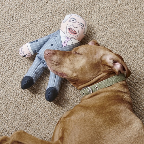 Nigel Farage Parody Dog Toy
