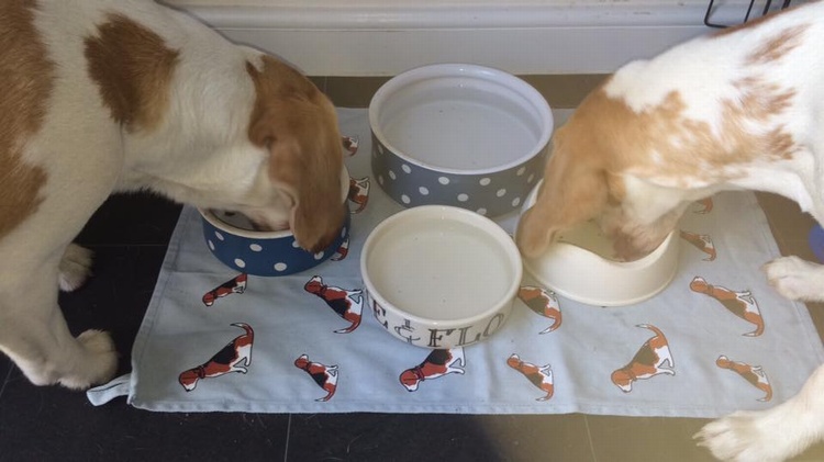 Alfie & Florence