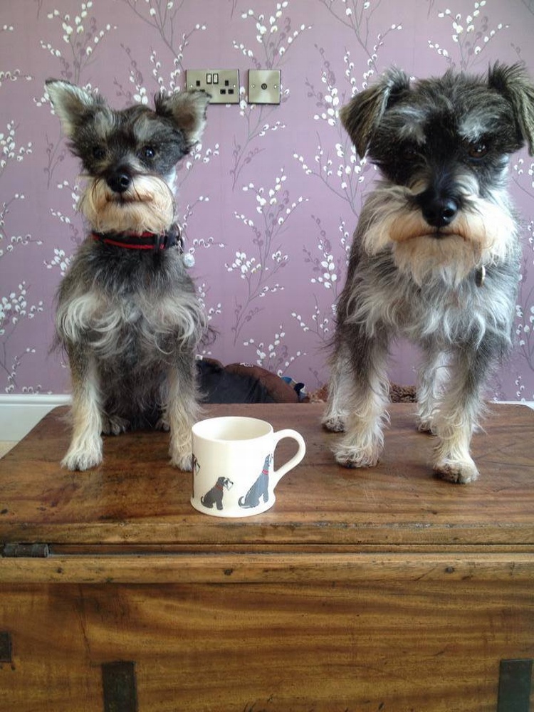 Archie & William
