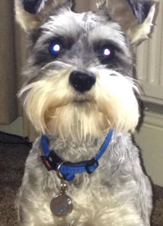 BARRY