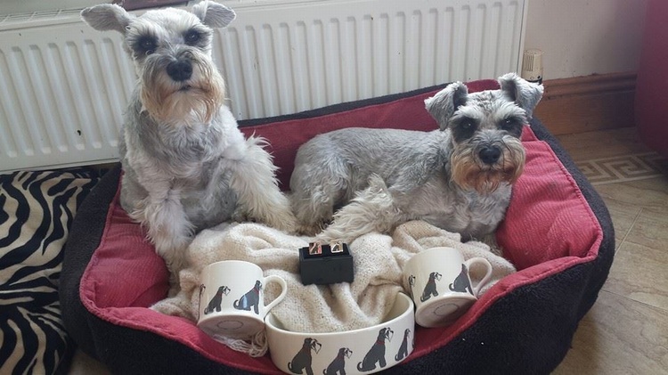 BELLA & LOUIE