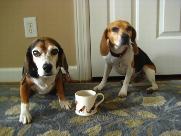 CHARLIE & LUCY