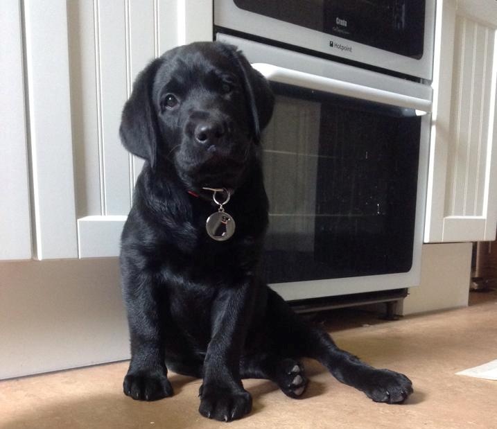CHARLIE