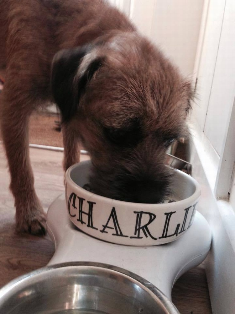 CHARLIE