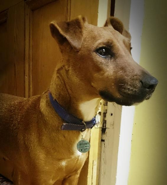 ETHEL