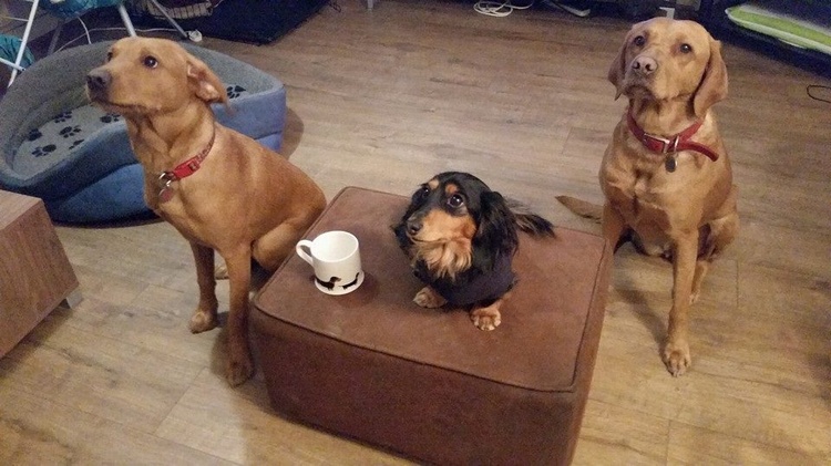 HARVEY, DUKE & RUBY