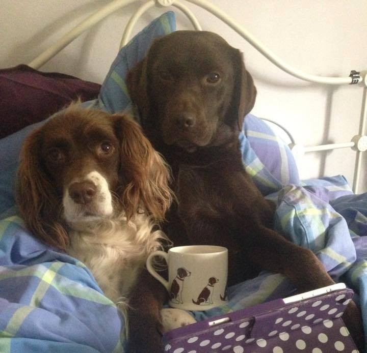 IVY & MILLIE