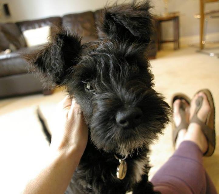 JEFFREY