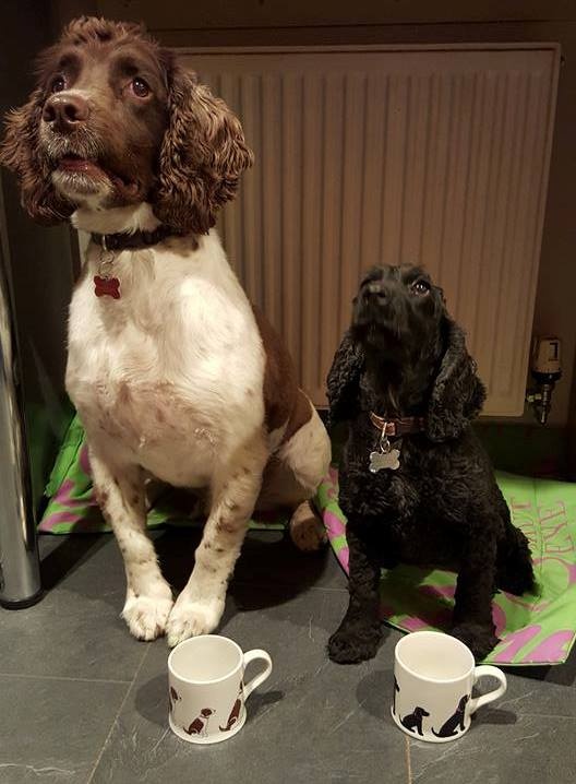 MONTY & EFFIE