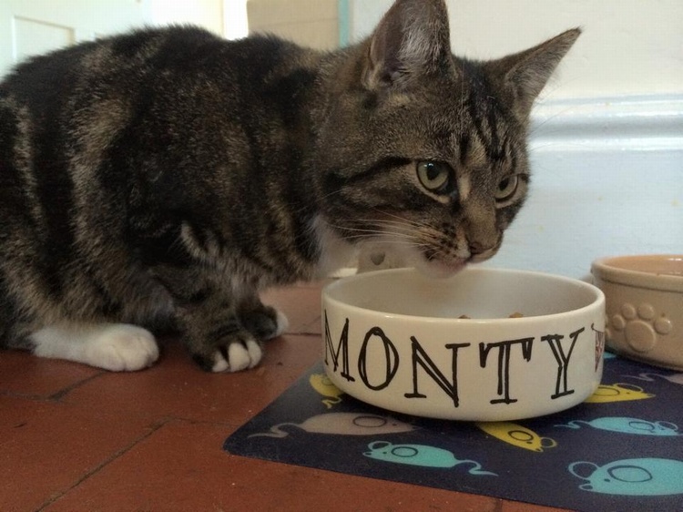 MONTY