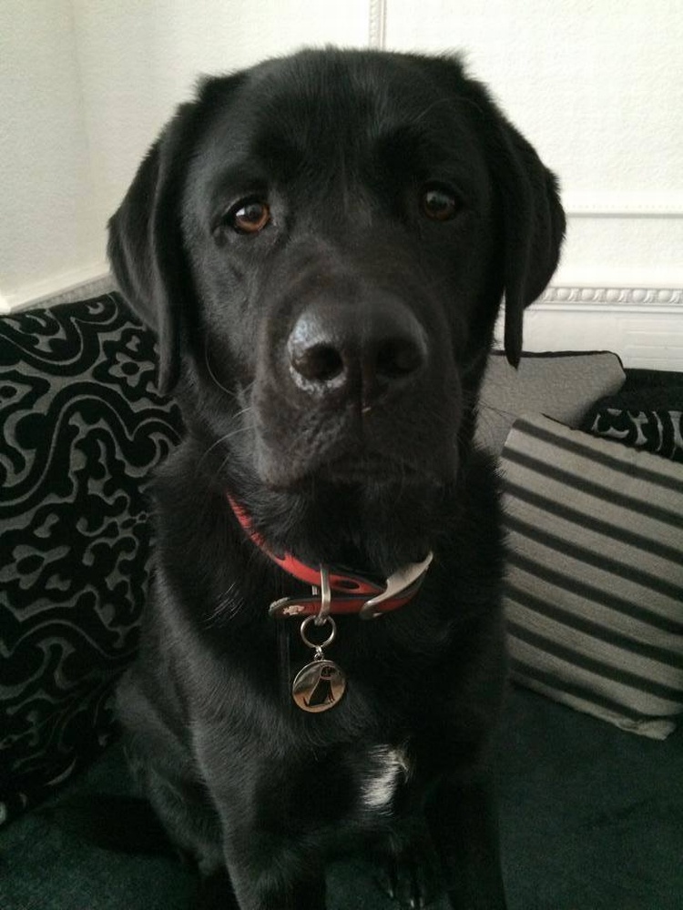 MURPHY