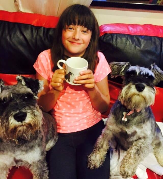 GORGEOUS SCHNAUZERS