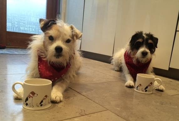 PIP & PATCH