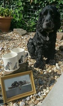 POPPY (& MILLY X)