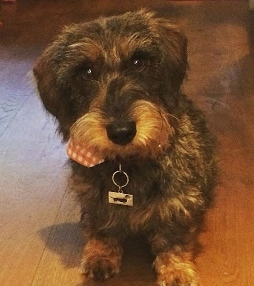 PRETZEL