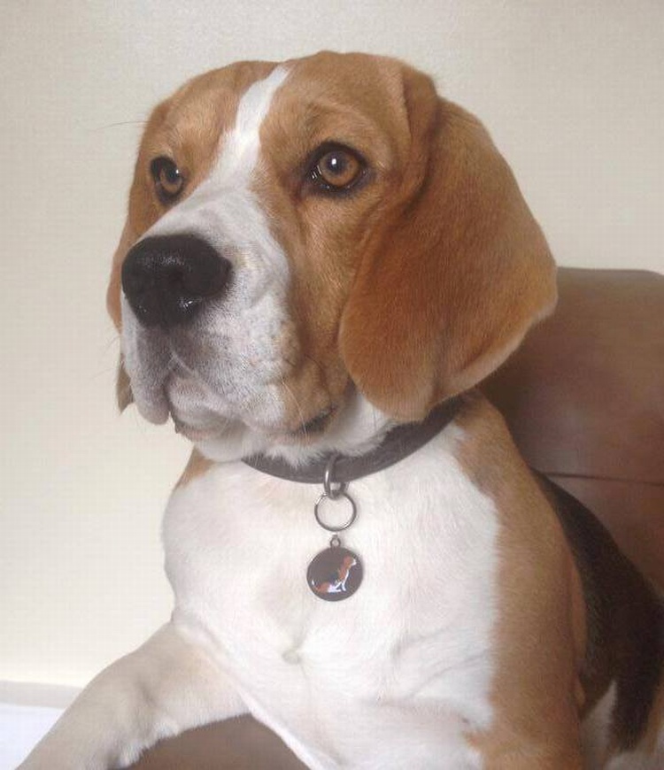 RUPERT