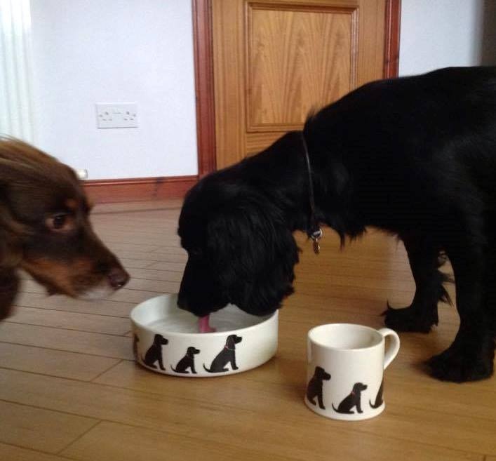 SADIE & ROSIE