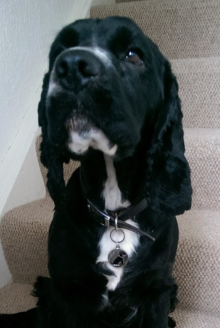TOBY