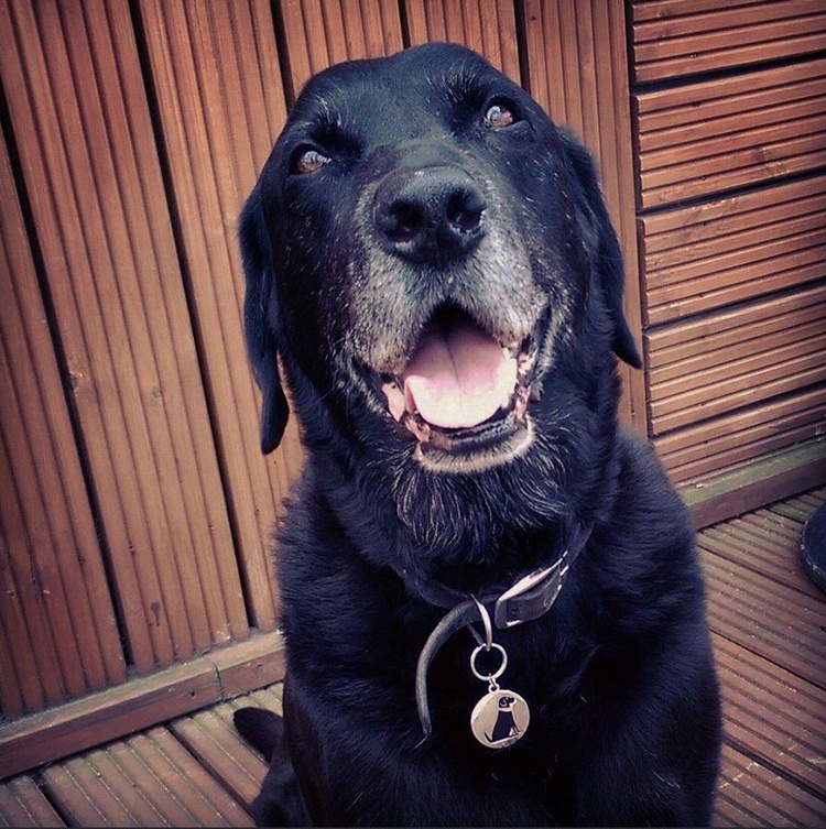 OUR BOY WILLIAM!