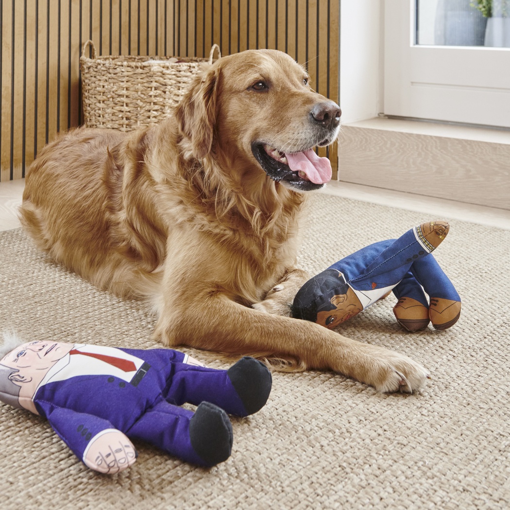 Keir Starmer Parody Dog Toy