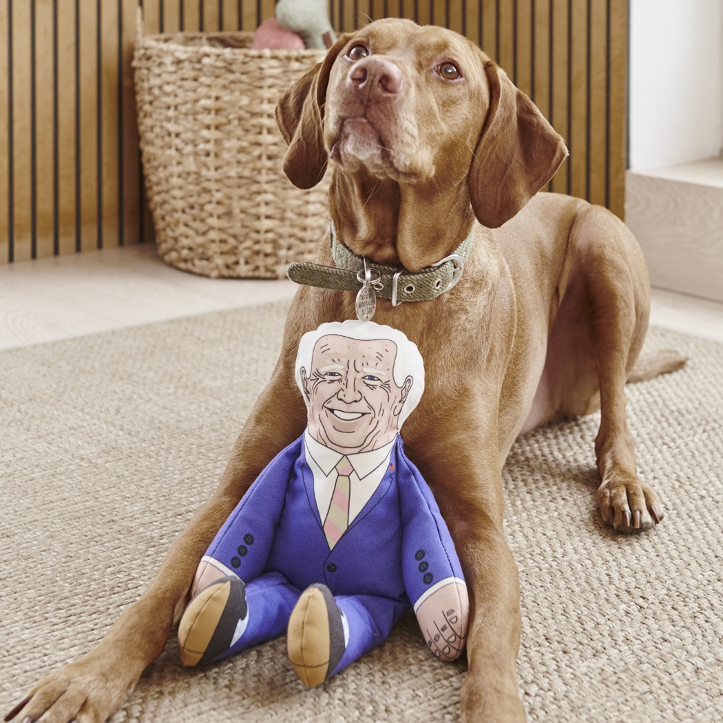 Joe Biden Parody Dog Toy