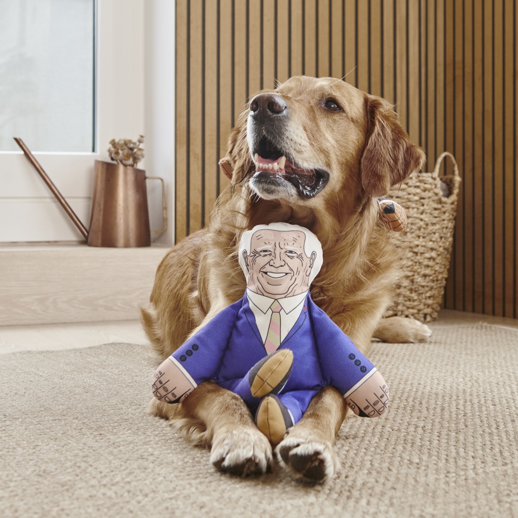 Joe Biden Parody Dog Toy