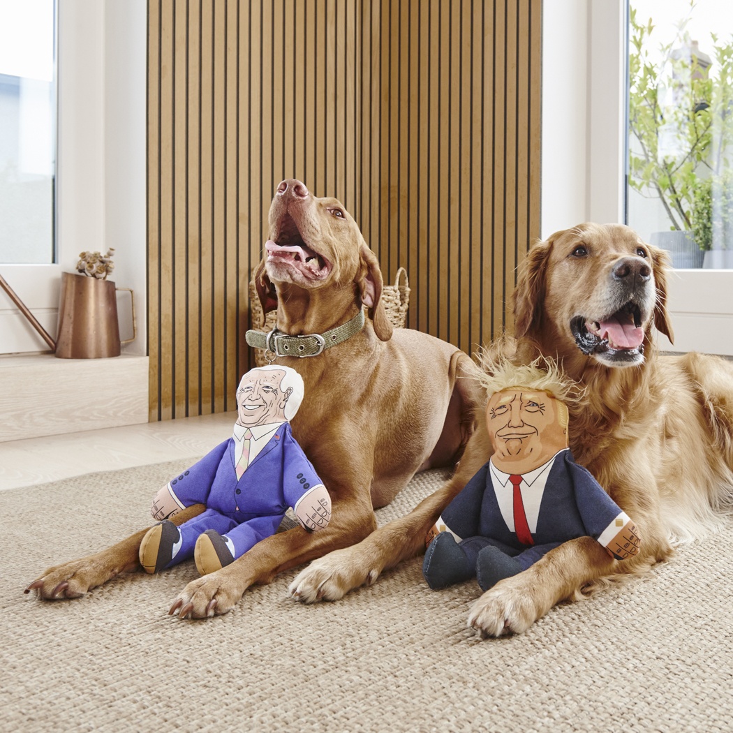 Joe Biden Parody Dog Toy