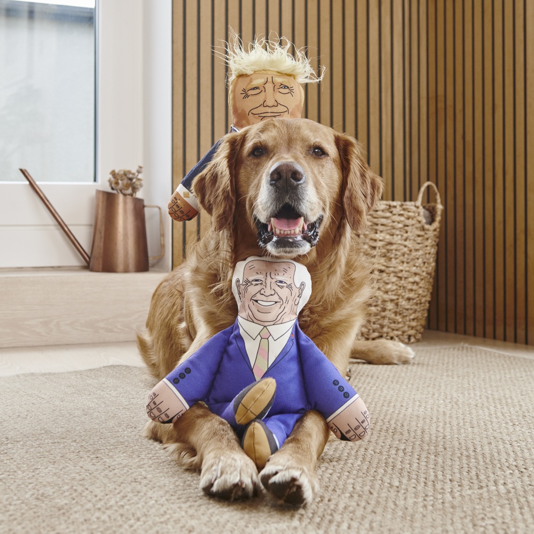 Joe Biden Parody Dog Toy