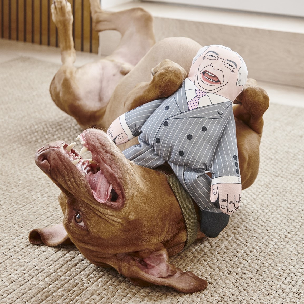 Nigel Farage Parody Dog Toy