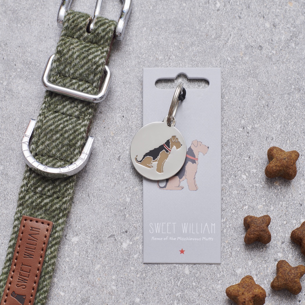 AIREDALE / LAKELAND / WELSH TERRIER DOG ID NAME TAG