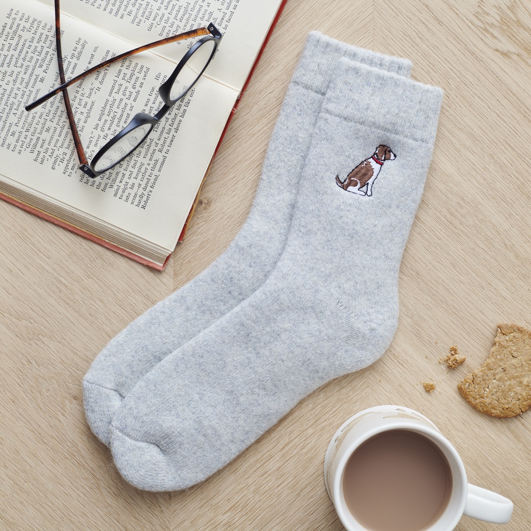 SPRINGER SPANIEL (LIVER & WHITE) DOG WALKING SOCKS