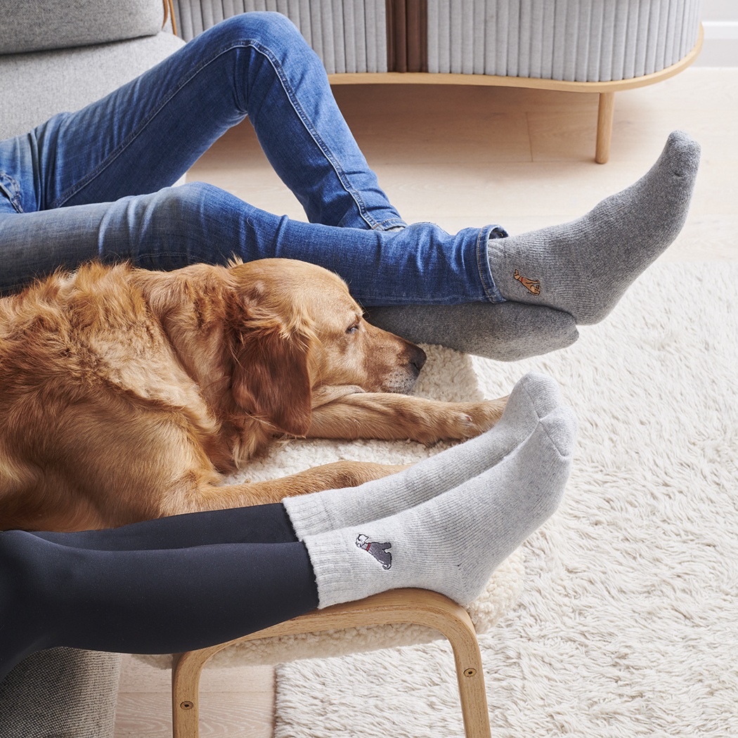 WESTIE DOG WALKING SOCKS