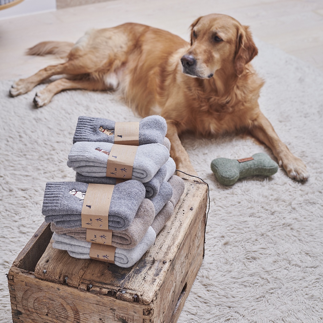 WESTIE DOG WALKING SOCKS