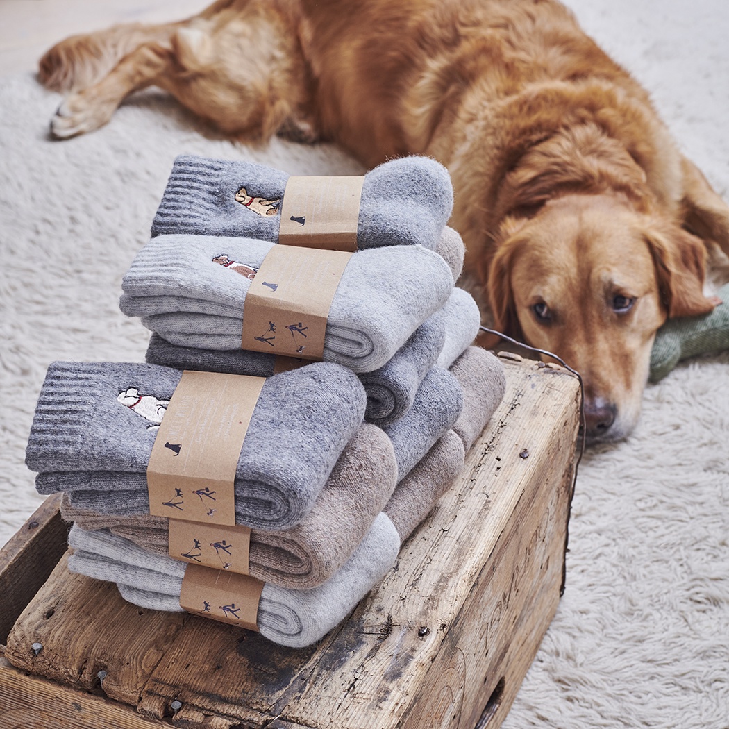 Boxer Dog Walking Socks