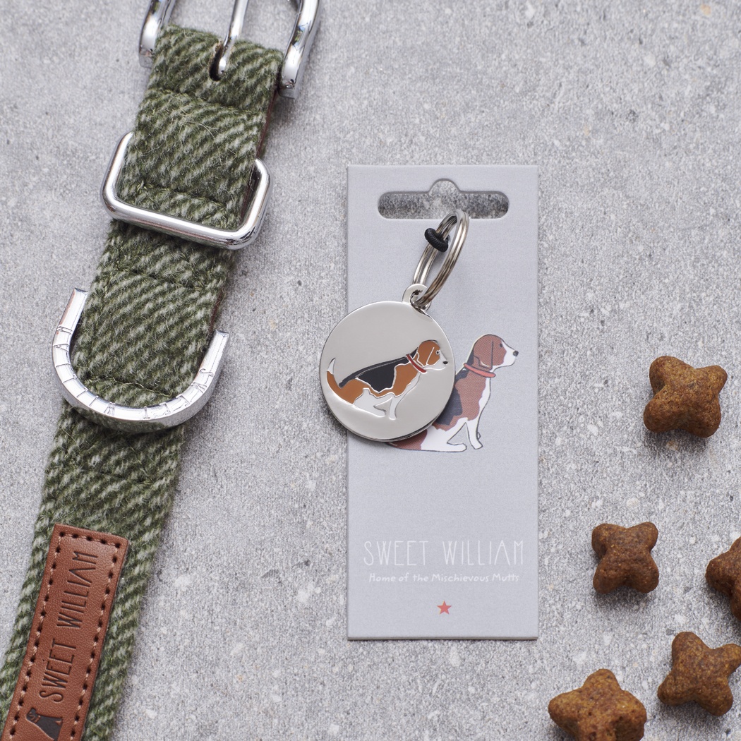 BEAGLE DOG ID NAME TAG