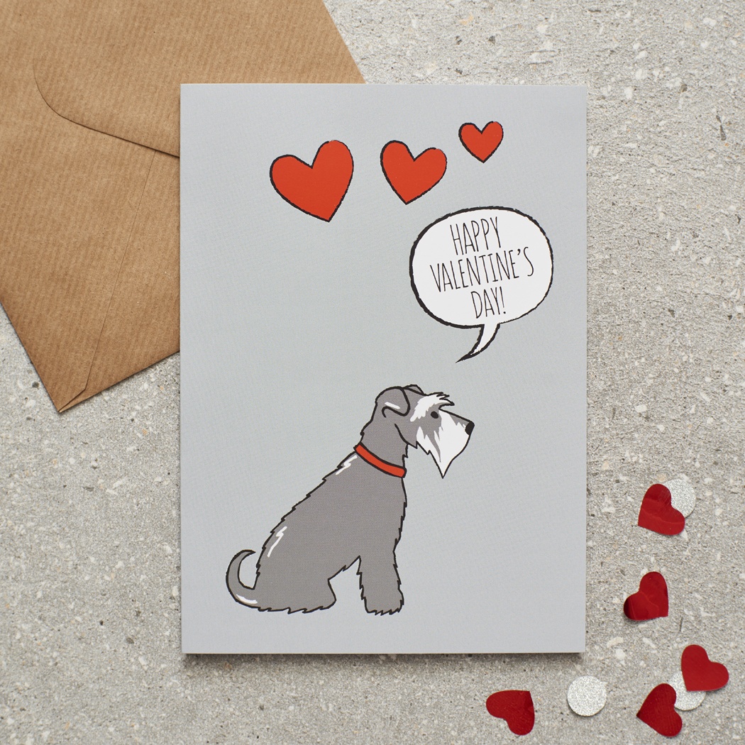 Grey Schnauzer Valentine's Day Card